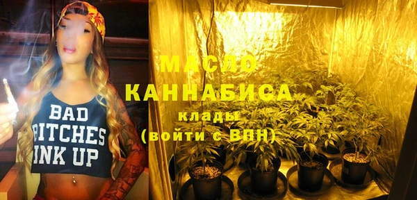 индика Краснотурьинск