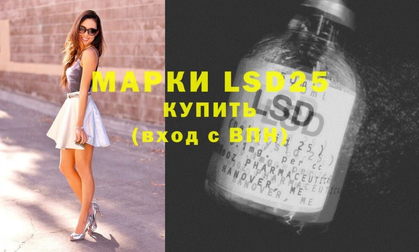 амф Корсаков