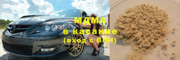 индика Краснотурьинск