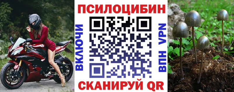 Псилоцибиновые грибы Cubensis  OMG tor  Нижняя Тура 